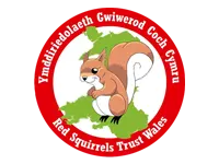 Red Squirrel Trust Wales