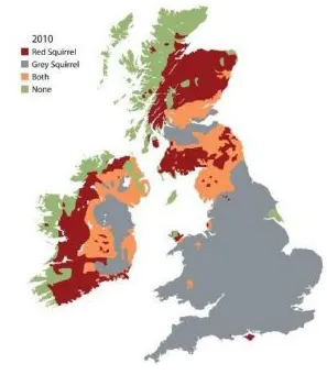 red Squirrel distribution uk 2010